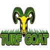 Photo for Turf Goat