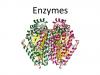 Photo for Enzymes Market Research Report Forecast