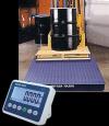 Photo for TPS Pallet Jack Scales | Lian Seng Weighing Scale Co.