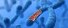 Photo for Molecular Cytogenetics Market - Size, Share, Outlook, and Opportunity Analysis, 2018 – 2026
