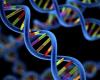 Photo for Genomics Market Are Made : An Overview To The Future Opportunities Over The Globe