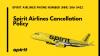 Photo for Spirit Airlines Name Change and Correction