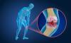 Photo for Stem Cell Cartilage Regeneration Market Upcoming Trends Analysis Till 2026