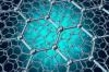 Photo for Graphene Nanocomposites Market - Size, Share, Outlook, and Opportunity Analysis, 2018-2026