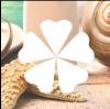 Photo for May Blossom Spa