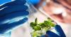 Photo for Tissue Plasminogen Activator Market – Global Growth Forecast upto 2026