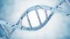 Photo for DNA Repair Drugs Market – Trends, Outlook, and Opportunity Analysis, 2019 – 2026