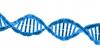 Photo for Cell Based Assays Market to Reach a Valuation of US$ 1.97 Billion by 2022