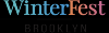 Photo for Winterfest Brooklyn