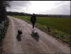 Photo for Shake, Waggle 'n' Woof! Dog Walking & Pet Sitting