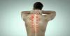 Photo for Bone Degeneration Therapeutics Market to Experience Significant Growth By 2026