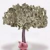 Photo for Ace Credit Repair