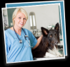 Photo for Pet Insurance Plans - Pets Best