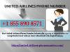 Photo for United Airlines Phone Number +1 855 890 8571