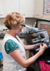 Photo for All Systems Lab