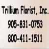 Photo for Trillium Florist