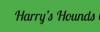 Photo for Harry’s Hounds