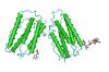 Photo for Worldwide Interferon Market Forthcoming Developments, Growth Challenges, Opportunities 2023