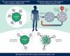 Photo for Global T-Cell Immunotherapy Market: Market Size & Forecast, Market Share, Industry Trends-