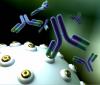Photo for Monoclonal Antibody Therapeutics Market Share Value Projected to Expand by 2018-2026