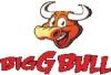 Photo for Biggbull Industries Limited
