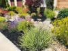Photo for Livermore Landscaping Pros