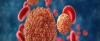 Photo for Global Purified Human Proteins Market : Future Demand, Market Analysis & Outlook 2019 to 2023