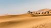 Photo for Grab Morocco Private Tours at Discounted Prices with My Moroccan Travel