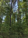 Photo for Find The Land You Are Looking For
