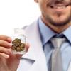 Photo for Medical Marijuana Hawaii