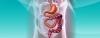Photo for Short Bowel Syndrome Market — Global Industry Insights, Trends, Outlook, and Opportunity Analysis, 2018-2026