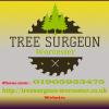 Photo for Tree Surgeon Worcester