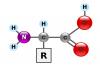 Photo for Global Amino Acids Market Latest Study, Research & Growth in near future 2023