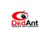 Photo for DedAnt Building and Pest Inspections
