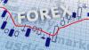 Photo for Forex Trading In Singapore | Forex Broker in Uk