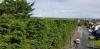 Photo for Tree Surgeon Ireland