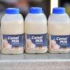 Photo for Global Camel Dairy Market Growth Opportunities, Industry Analysis, Geographic Segmentation and Competitive Landscape Report to 2024