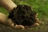 Photo for Organic Fertilizers Market Production Status and Competitive Analysis 2019-2023