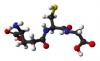 Photo for Glutathione Market Study By Type, Application & Top Key Players - Kaiping Genuine Biochemical Pharmaceutical Co., Ltd., Kohjin Life Sciences Co., Ltd.