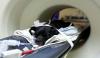 Photo for Veterinary Imaging Market | Growth, Trends, Demand & Forecast Research Report Till 2025