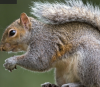 Photo for Tracker Pest Control