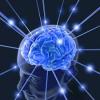Photo for In-Memory Analytics Market Report | Industry Size and Leading Key Players - Amazon Web Services, Information Builders Inc., International Business Machines