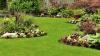 Photo for Studio City  Artificial Grass Installer
