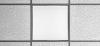 Photo for B & L Acoustical Ceilings