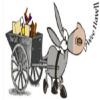 Photo for WEE HAWLL JUNK REMOVAL SERVICES