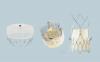 Photo for Structural Heart Devices Market To Grow Like Never Before By 2026