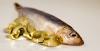 Photo for Fish Oil Market Study By Applications & Top Key Players - American Marine Ingredients, Colpex, Copeinca ASA, Corpesca S.A., Croda Inc., FF Skagen A/S, FMC Corporation