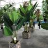 Photo for Sharetrade Artificial Plant Manufacturer Co., Ltd