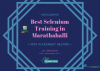 Photo for Best Selenium Training in Marathahalli - Infocampus Logics Pvt.Ltd.