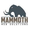 Photo for Mammoth Web Solutions